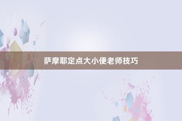 萨摩耶定点大小便老师技巧
