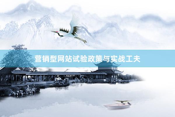 营销型网站试验政策与实战工夫